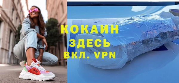 ешки Снежногорск