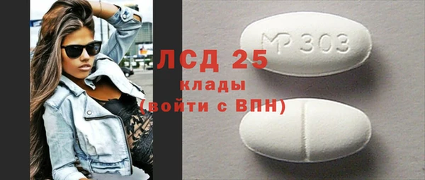 гашик Алексин