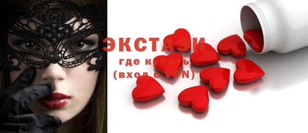 гашик Алексин