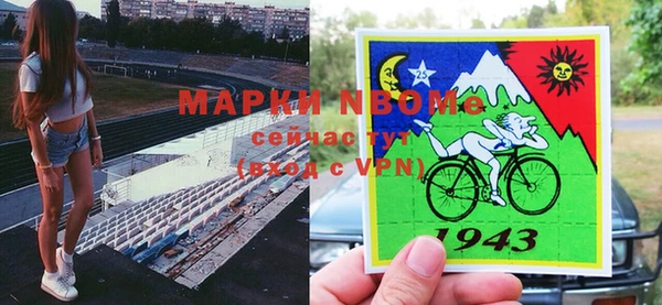 ешки Снежногорск