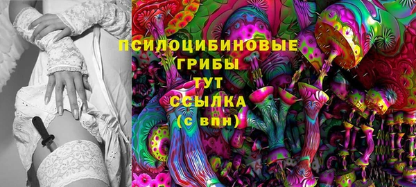 ешки Снежногорск