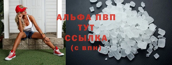 гашик Алексин