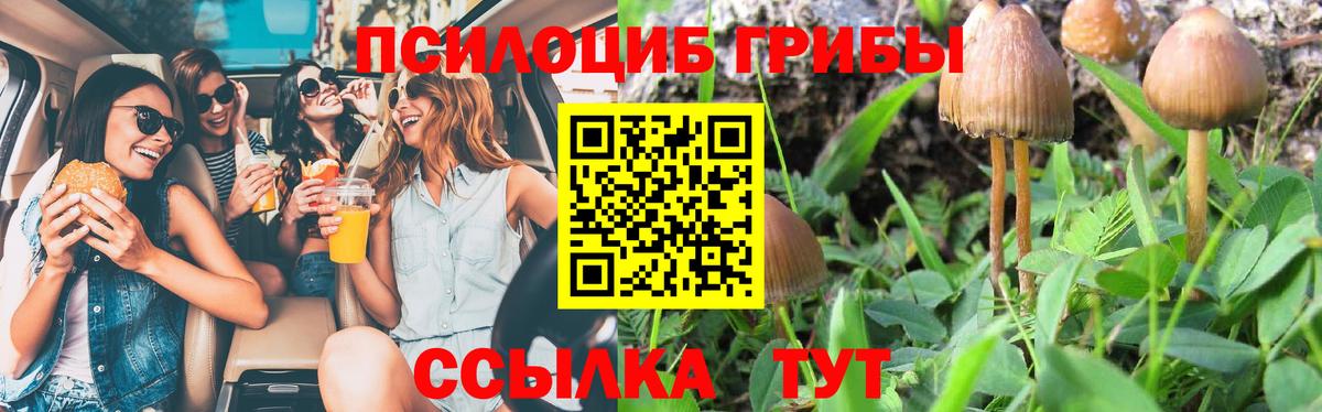 Арсеньев  Псилоцибиновые грибы MAGIC MUSHROOMS  Вход с VPN 