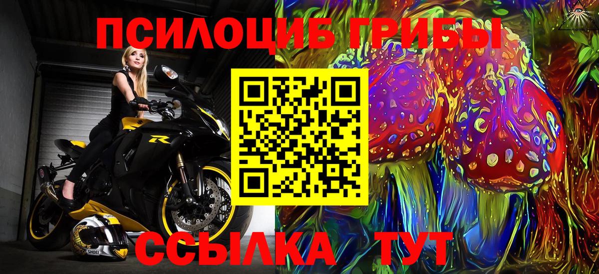 Псилоцибиновые грибы прущие грибы Арсеньев